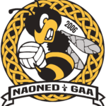 naoned gaa rennes gaa ar gwazi gouez football gaélique