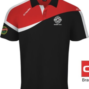 polo rennes gaa ar gwazi gouez football gaélique